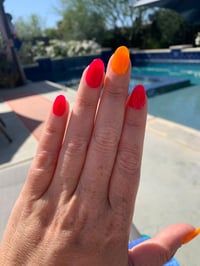 Image 4 of REBELLIOUS ROSE