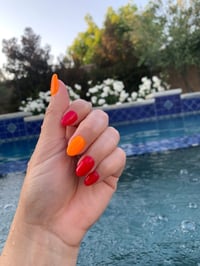 Image 5 of REBELLIOUS ROSE