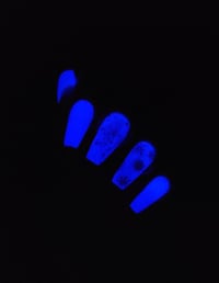 Image 3 of BELOW ZERO