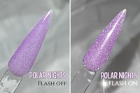 Image 2 of POLAR NIGHTS