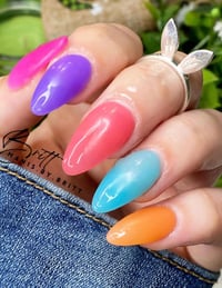 Image 6 of BERRY BLUE 