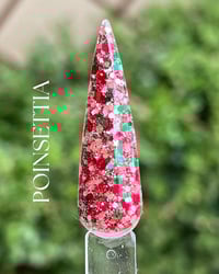 Image 4 of POINSETTIA