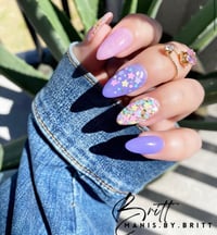 Image 6 of SPRING HAS SPRUNG