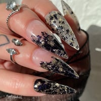 Image 8 of RITZY GLITZY