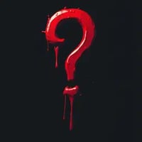 Mystery Jumper/Hoodie 