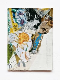 Image 1 of februllage studio originals, day fifteen: ‘daffodil’