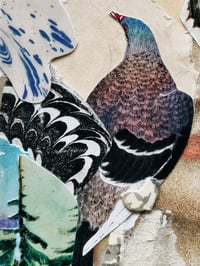 Image 2 of februllage studio originals, day nineteen: ‘pigeon’