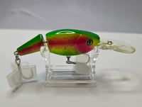 Image 1 of Rainbow Trout Deep Dive 