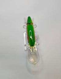 Image 2 of Rainbow Trout Deep Dive 