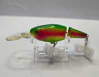 Image 3 of Rainbow Trout Deep Dive 