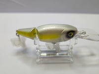 Image 2 of  Electric Shad Deep Dive 