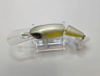 Image 3 of  Electric Shad Deep Dive 