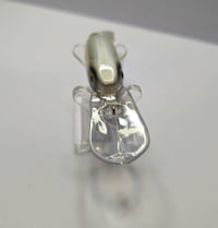 Image 4 of  Electric Shad Deep Dive 