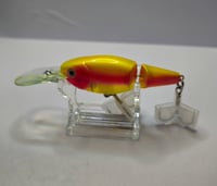 Image 3 of  Lightening Trout Deep Dive 