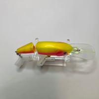 Image 2 of  Lightening Trout Deep Dive 