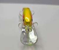 Image 5 of  Lightening Trout Deep Dive 