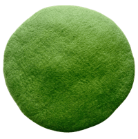 Image 1 of Coastal Green Tush Cush