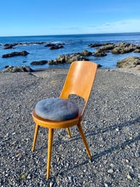 Image 4 of Concrete Grey Tush Cush