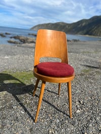 Image 2 of Maroon Tush Cush