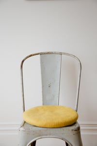 Image 3 of Mustard Yellow Tush Cush