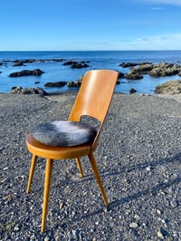 Image 4 of Pebble Dark Tush Cush