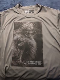 Image 1 of "The Lion's Stoicism"