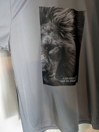 Image 2 of "The Lion's Stoicism"