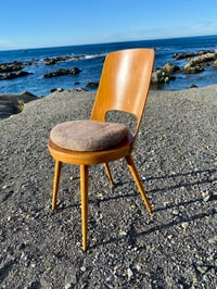 Image 4 of Riverstone Medium Tush Cush