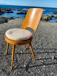 Image 4 of Riverstone Light Tush Cush