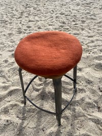 Image 4 of Rust Tush Cush