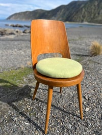 Image 2 of Sage Tush Cush