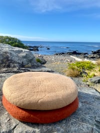 Image 5 of Tan Tush Cush