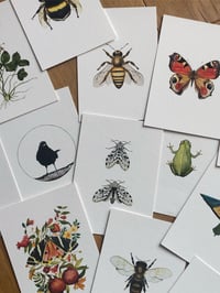 Image 1 of Natures Tiny Wonders - Watercolor Print club