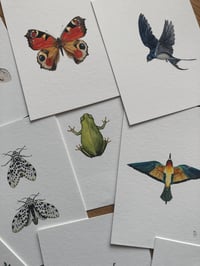 Image 3 of Natures Tiny Wonders - Watercolor Print club