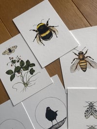 Image 4 of Natures Tiny Wonders - Watercolor Print club