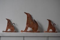 Image 3 of Large dog