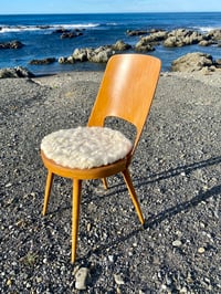 Image 2 of Shaggy Natural Tush Cush