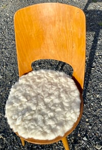 Image 5 of Shaggy Natural Tush Cush