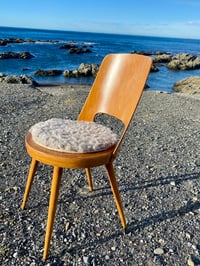 Image 2 of Shaggy Medium Grey Tush Cush