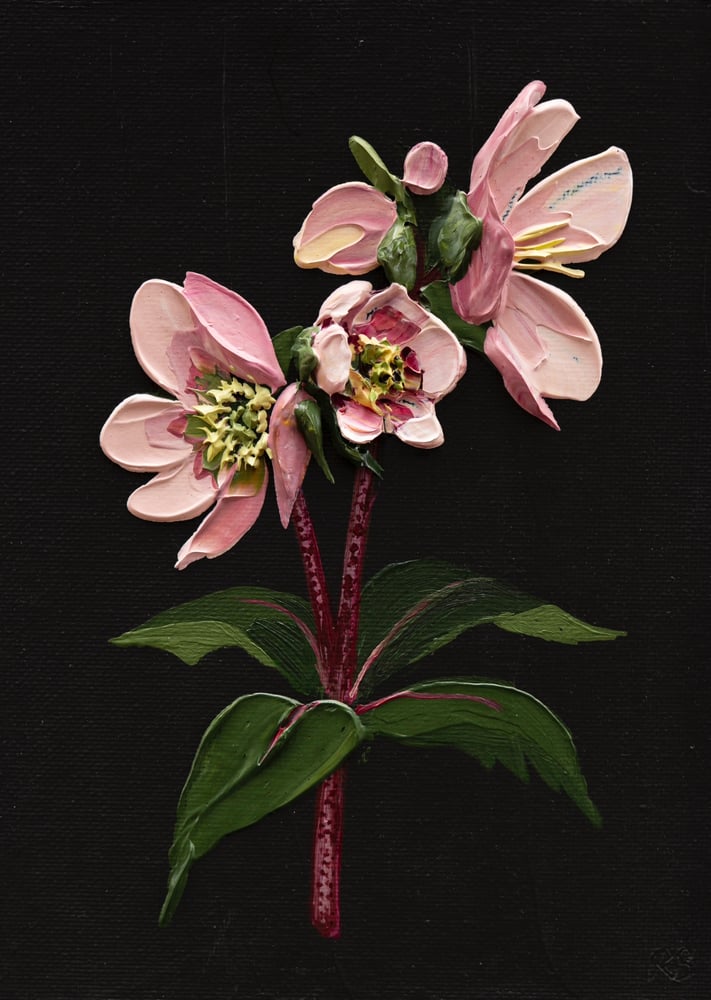 Image of Hellebore On Almost Black II Giclée Print