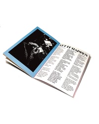 Image 2 of PLAYRUIN Vol.1