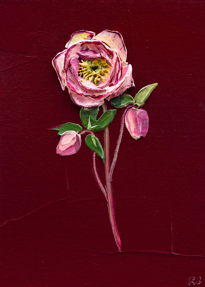 Image of Hellebore On Burgundy II Giclée Print