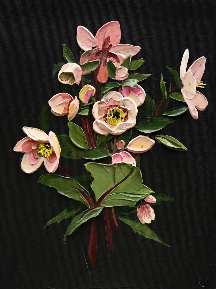 Image of Hellebore On Almost Black I Giclèe Print