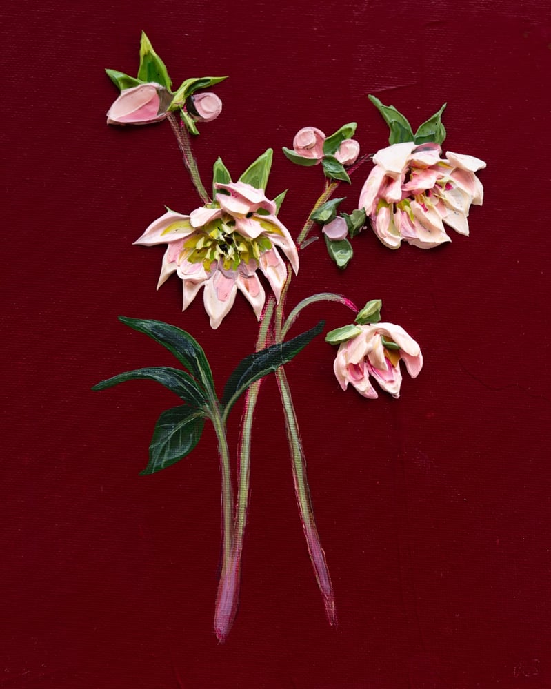 Image of Hellebore On Burgundy I Giclèe Print