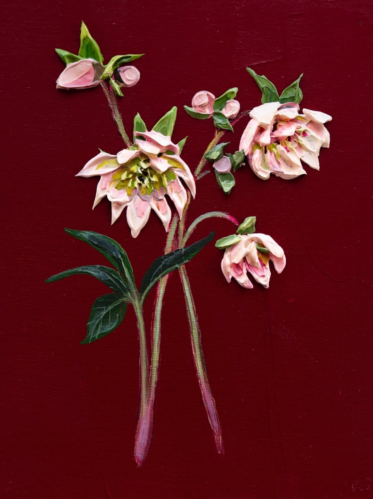 Image of Hellebore On Burgundy I Giclèe Print