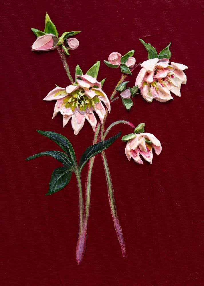Image of Hellebore On Burgundy I Giclèe Print