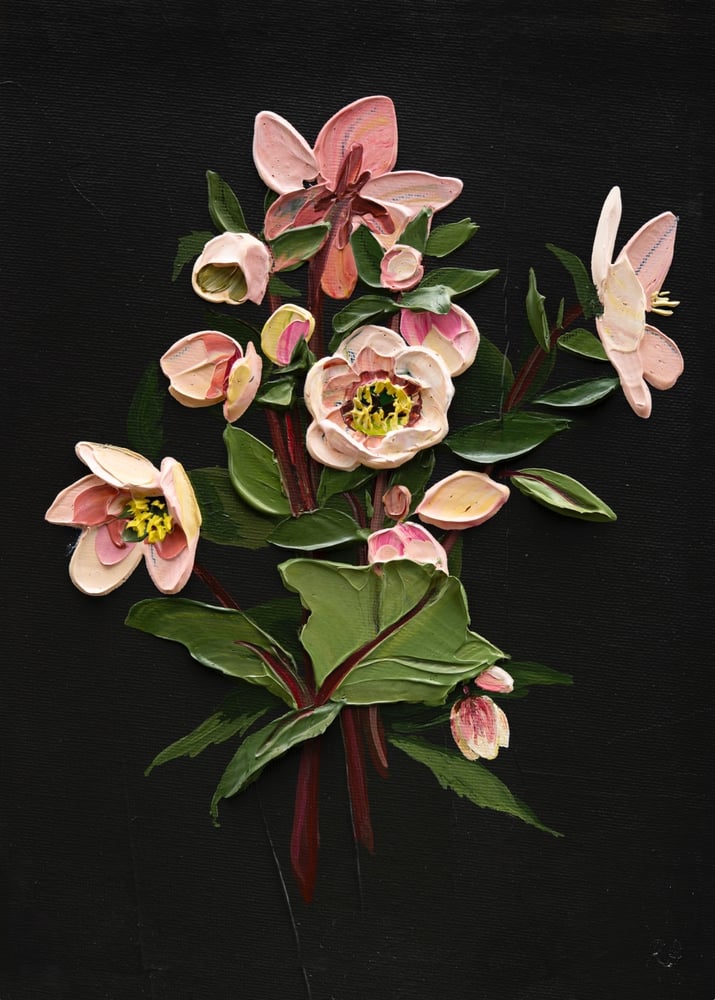 Image of Hellebore On Almost Black I Giclèe Print