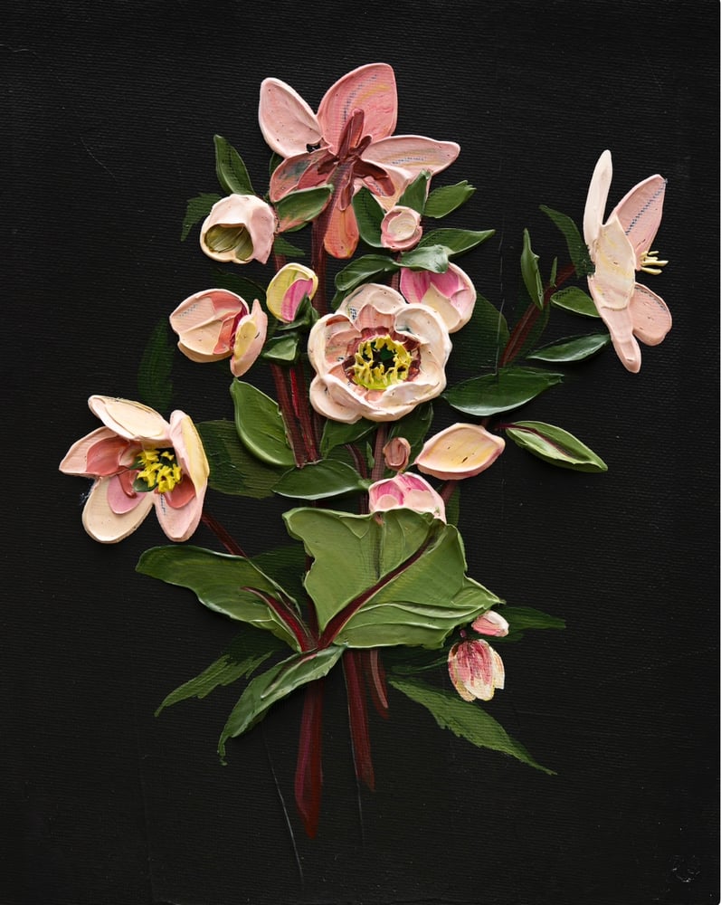 Image of Hellebore On Almost Black I Giclèe Print