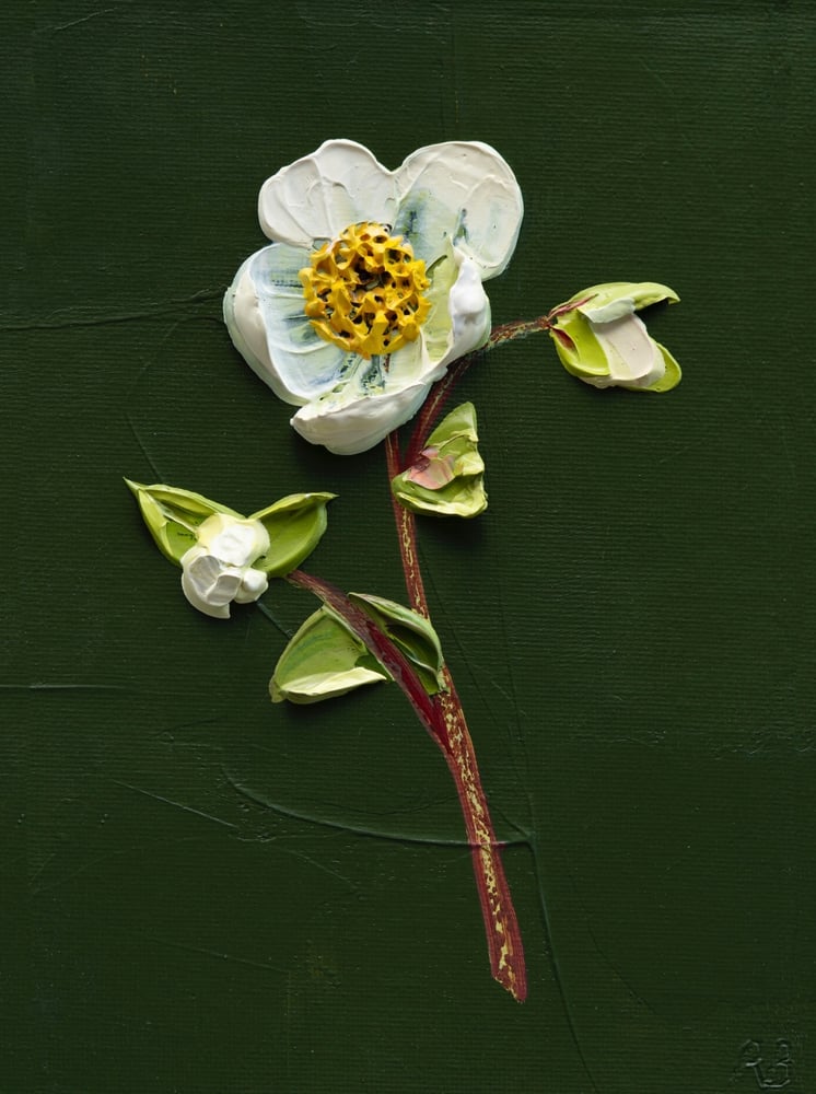 Image of Hellebore On Deep Green I Giclée Print
