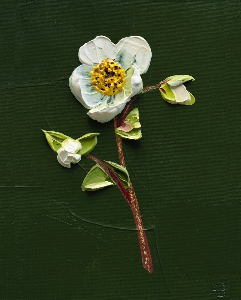 Image of Hellebore On Deep Green I Giclée Print